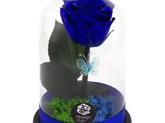 Trandafir Criogenat Albastru Cupola Mica